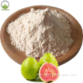 High quality Guava Powder in Beverage Field